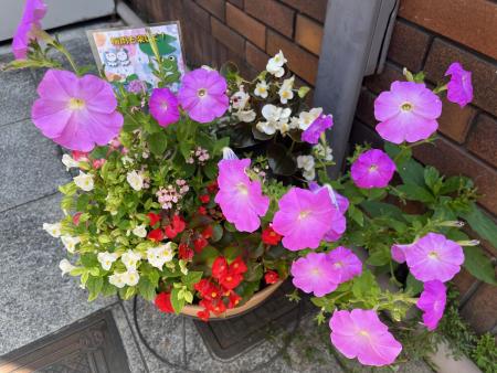 梅雨も楽しく