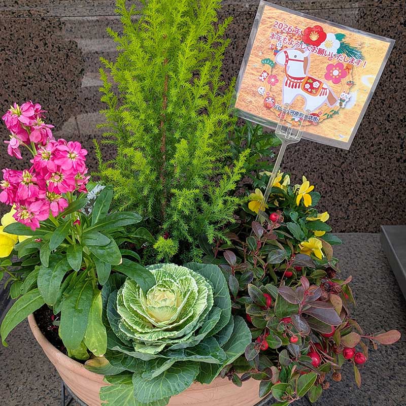 花のあるパレット河原町